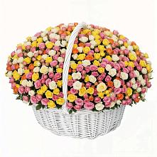 Премиум букет из: Розы в Старовеличковской