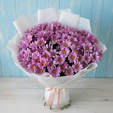 Букет цветов из:  Хризантемы в Старовеличковской