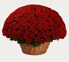 Премиум букет из: Розы в Старовеличковской