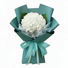 Букет цветов из:  Гортензия в Старовеличковской